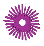logo Calabria straordinaria